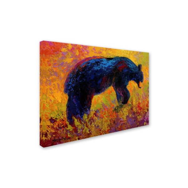 Marion Rose 'Young Adventurer Black Bear' Canvas Art,18x24